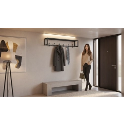 Wieszak ścienny metalowy Rozmiary Kolory WM-7