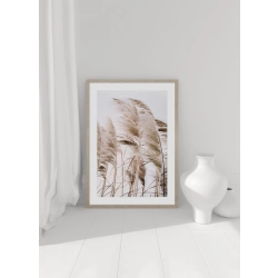 OBRAZ PAMPAS GRASS ON THE WIND NO.2