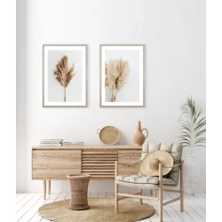 OBRAZ BUKIET TRAW PAMPASOWYCH