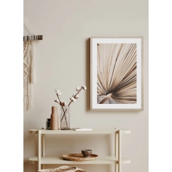 OBRAZ DRIED PALM LEAVES NO.3 Suszone Liście Palmowe