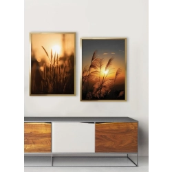 OBRAZ TRAWY W SŁOŃCU I Rama Złota