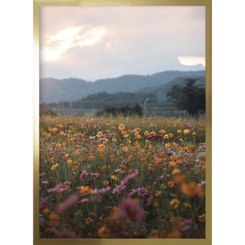 OBRAZ ŁĄKA PEŁNA KWIATÓW Rama Złota