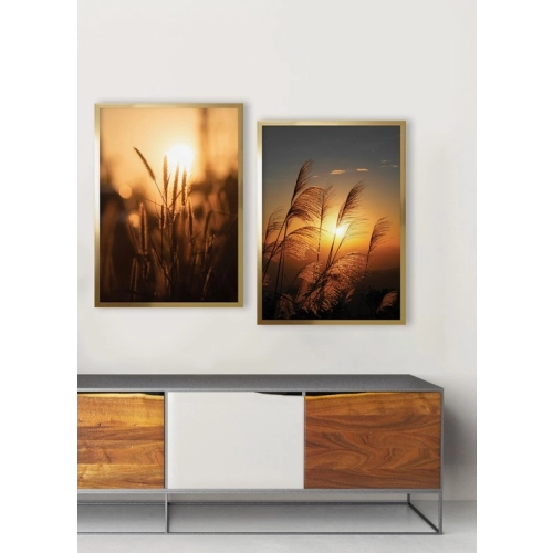 OBRAZ TRAWY W SŁOŃCU II Rama Złota