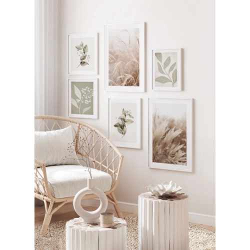 OBRAZ PAMPAS GRASS IN THE SUN NO.2 Suszona trawa pampasowa w słońcu