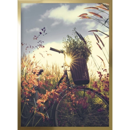 OBRAZ ROWER NA ŁĄCE Rama Złota