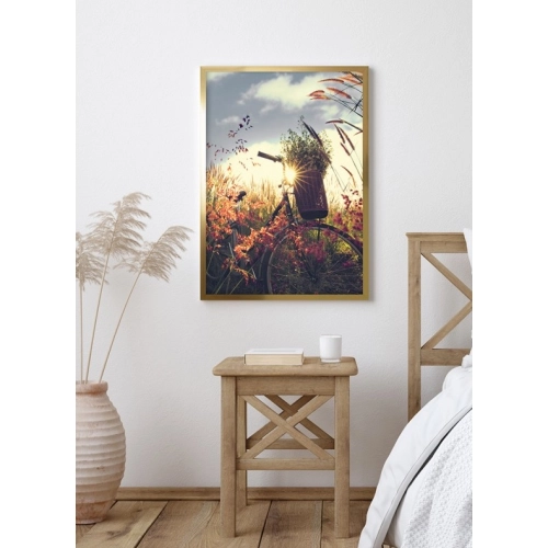 OBRAZ ROWER NA ŁĄCE Rama Złota