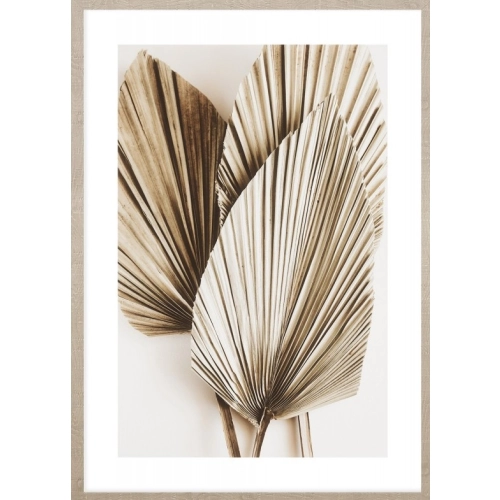 OBRAZ DRIED PALM LEAVES NO.1 Suszone Liście Palmowe
