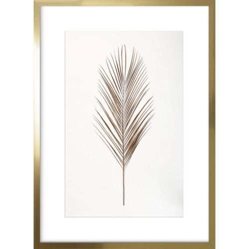 OBRAZ POJEDYNCZY LIŚĆ PALMY Rama Złota