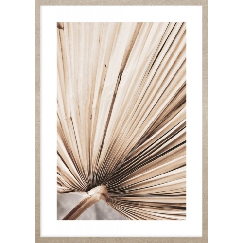 OBRAZ DRIED PALM LEAVES NO.3 Suszone Liście Palmowe