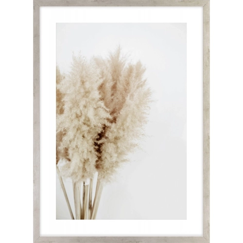 OBRAZ BUKIET TRAW PAMPASOWYCH OBRAZ BUKIET TRAW PAMPASOWYCH