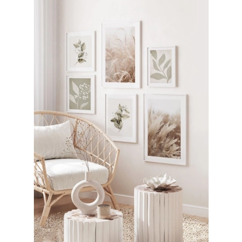 OBRAZ PAMPAS GRASS IN THE SUN NO.1 Suszona trawa pampasowa w słońcu