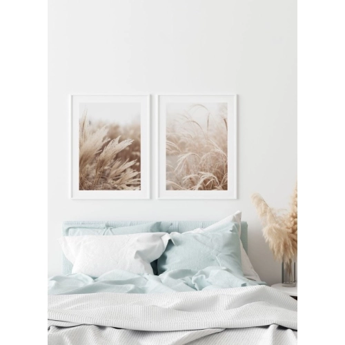 OBRAZ PAMPAS GRASS IN THE SUN NO.2 Suszona trawa pampasowa w słońcu