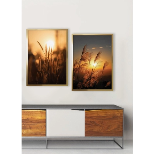 OBRAZ TRAWY W SŁOŃCU I Rama Złota