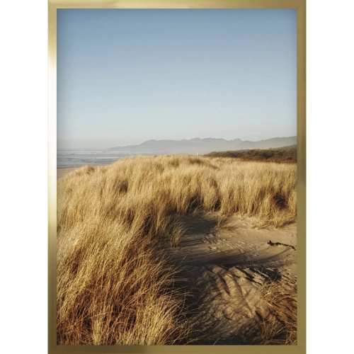 OBRAZ ZŁOTE WYDMY Rama Złota