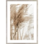 OBRAZ TRAWY NA WIETRZE NO.1