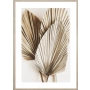 OBRAZ DRIED PALM LEAVES NO.1 Suszone Liście Palmowe