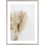 OBRAZ BUKIET TRAW PAMPASOWYCH OBRAZ BUKIET TRAW PAMPASOWYCH