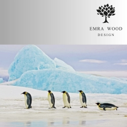 Obraz Szklany Penguins 120x80 cm