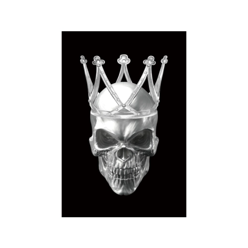 Obraz Szklany Skul II 80x120 cm